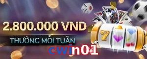 cwin01