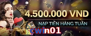 cwin01