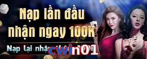 cwin01
