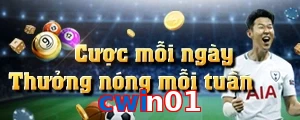 cwin01